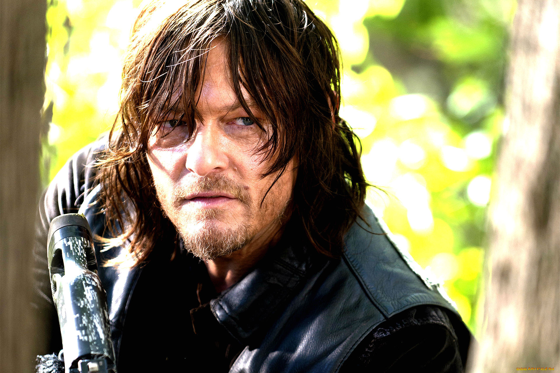  , the walking dead, norman, reedus